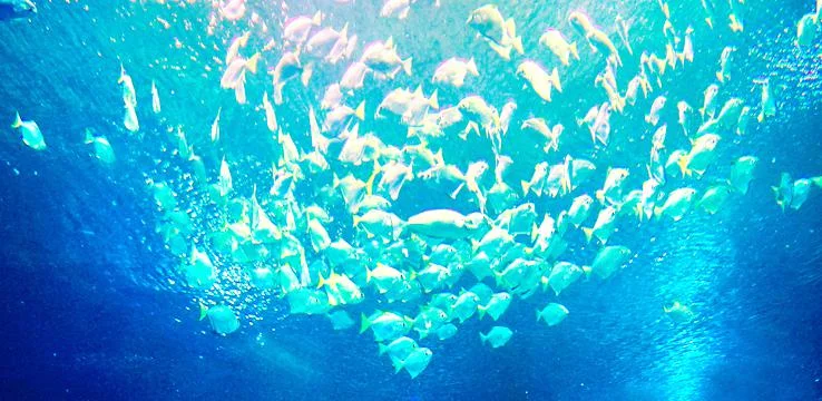 Aquaria KLCC