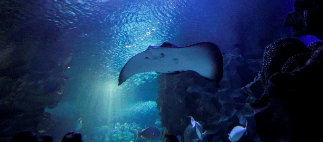 Aquaria KLCC