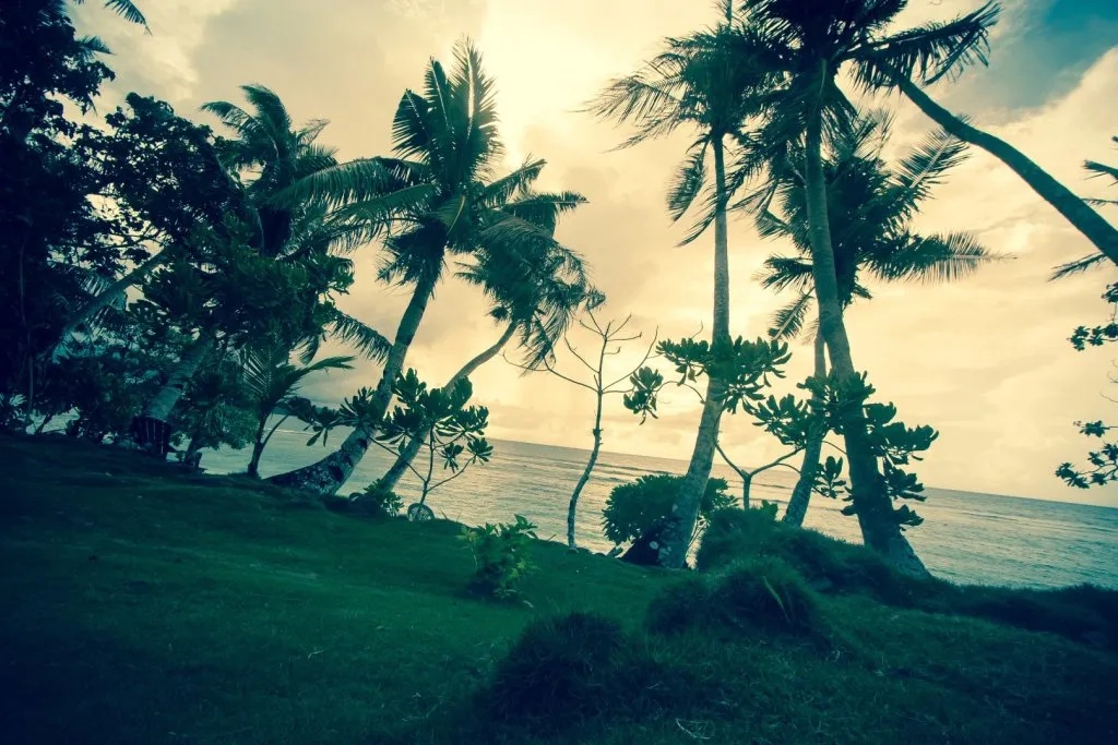 Hawaii Beach