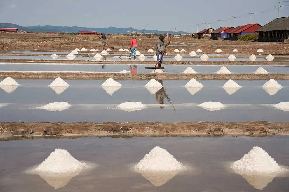 Kampot Salt Fields