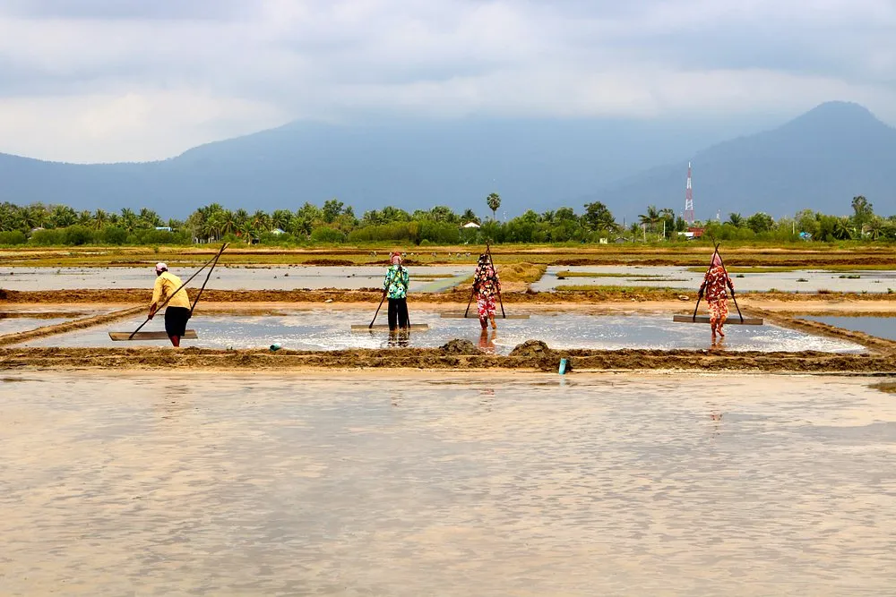 Kampot Salt Fields