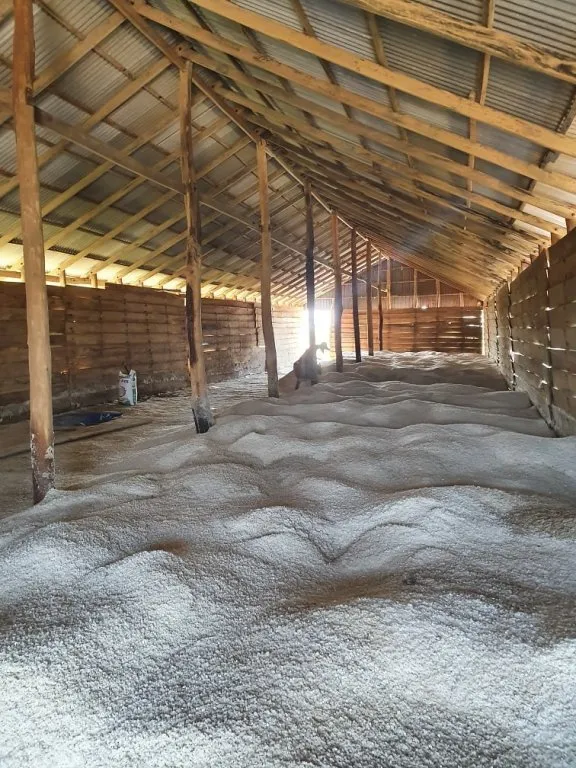 Kampot Salt Fields