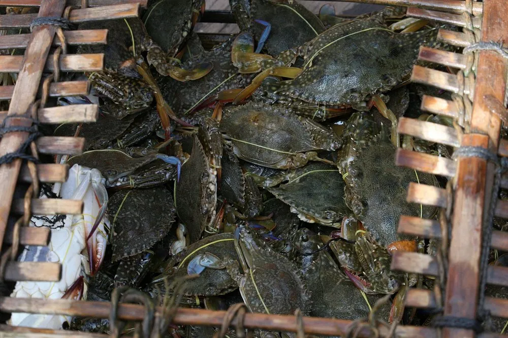 Kep Crab Statue