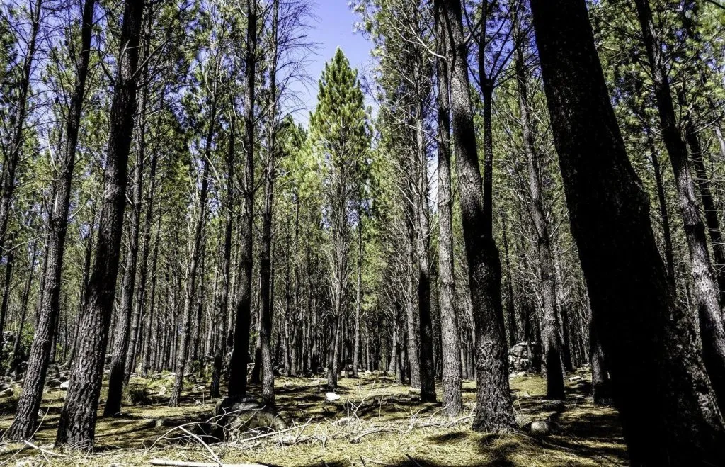 Kirirom National Park