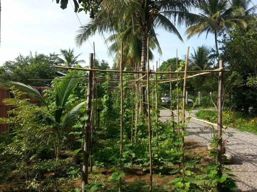 Mrs. Bun Roeung's Ancient House
