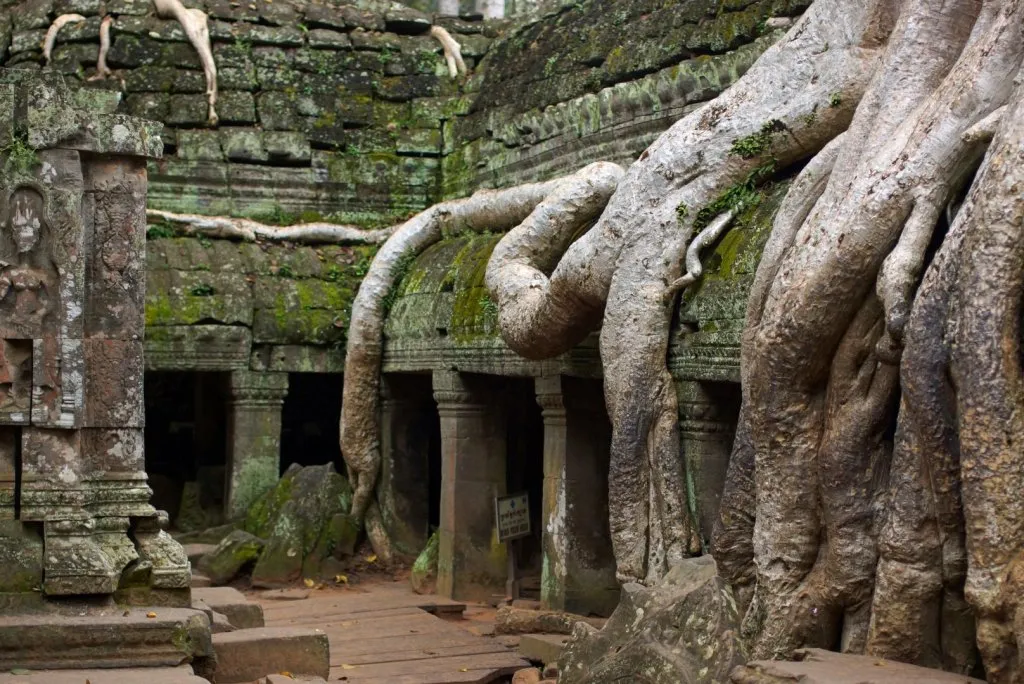 Ta Prohm Temple