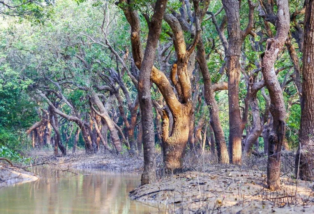 Tonlé Sap, Cambodia