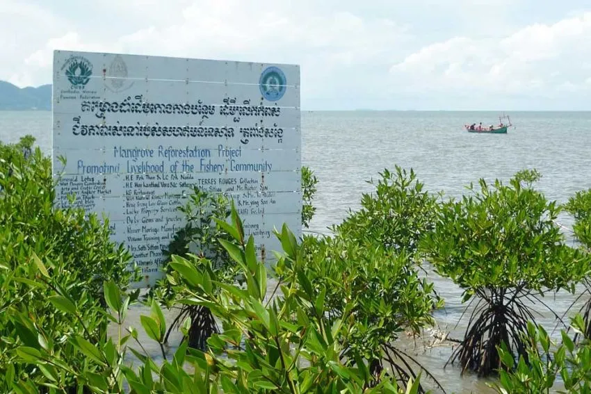 Trapeang Sangkae Mangrove Forest