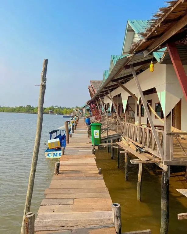 Trapeang Sangkae Mangrove Forest