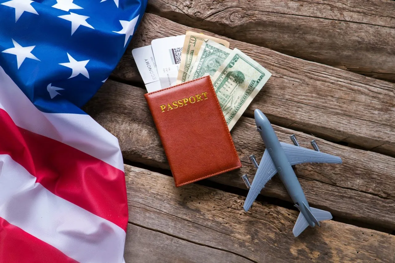 Visa Agent